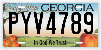 GA license plate PYV4789
