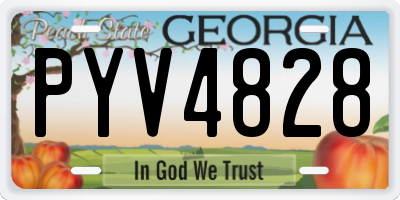 GA license plate PYV4828