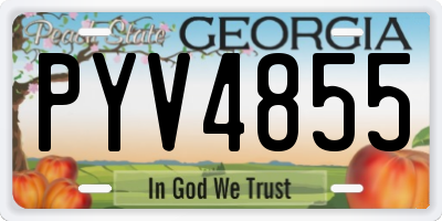 GA license plate PYV4855