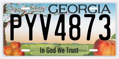 GA license plate PYV4873