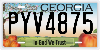 GA license plate PYV4875