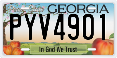 GA license plate PYV4901