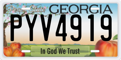 GA license plate PYV4919