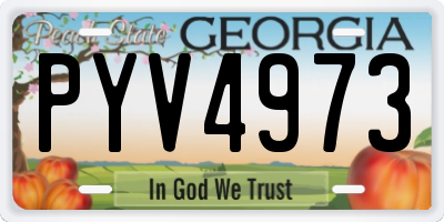 GA license plate PYV4973