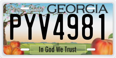 GA license plate PYV4981