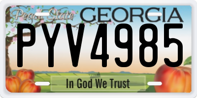 GA license plate PYV4985