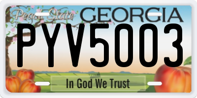 GA license plate PYV5003