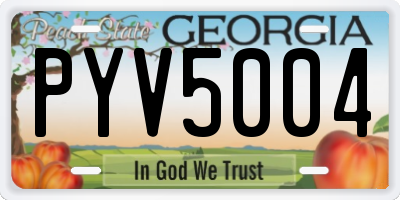 GA license plate PYV5004
