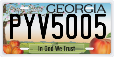 GA license plate PYV5005