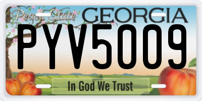GA license plate PYV5009