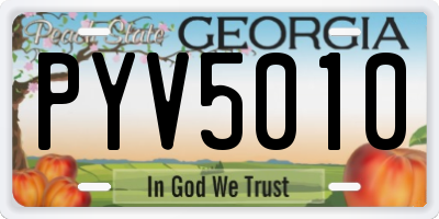 GA license plate PYV5010