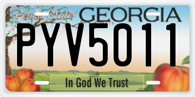 GA license plate PYV5011