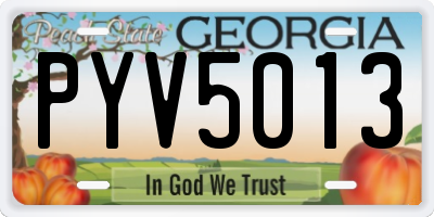 GA license plate PYV5013