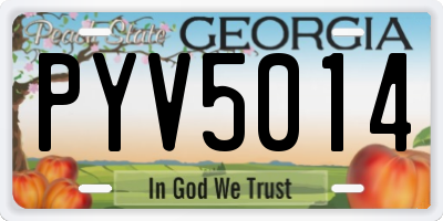 GA license plate PYV5014