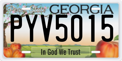 GA license plate PYV5015