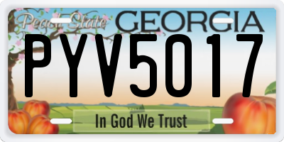 GA license plate PYV5017