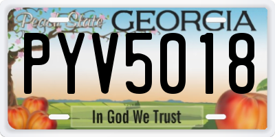 GA license plate PYV5018