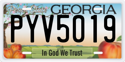 GA license plate PYV5019