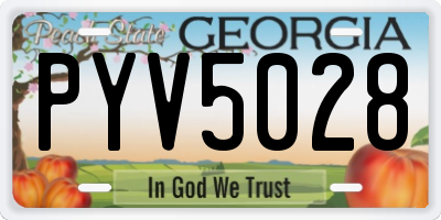 GA license plate PYV5028