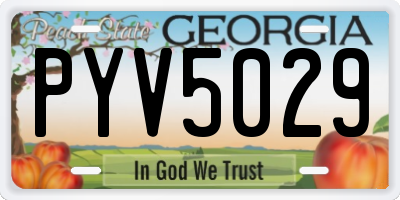 GA license plate PYV5029