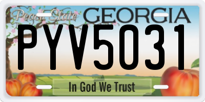 GA license plate PYV5031