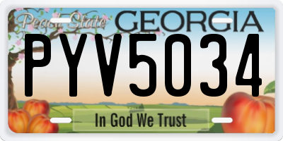 GA license plate PYV5034