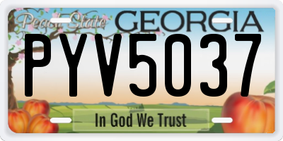 GA license plate PYV5037