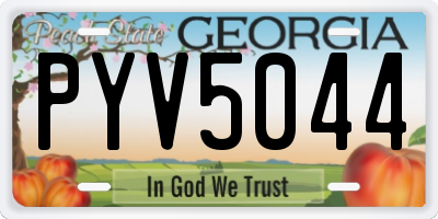 GA license plate PYV5044
