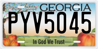 GA license plate PYV5045