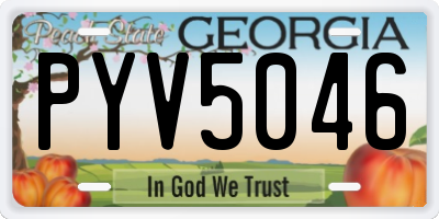 GA license plate PYV5046