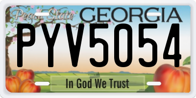 GA license plate PYV5054