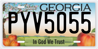 GA license plate PYV5055