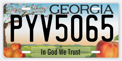 GA license plate PYV5065