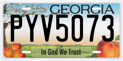 GA license plate PYV5073