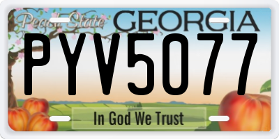 GA license plate PYV5077