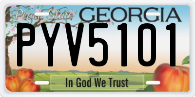 GA license plate PYV5101