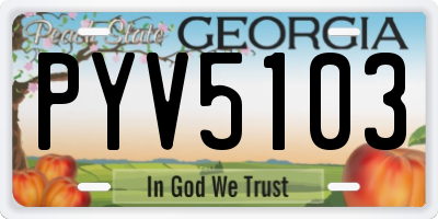 GA license plate PYV5103