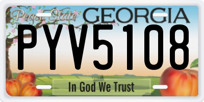GA license plate PYV5108