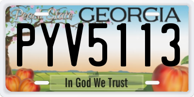 GA license plate PYV5113