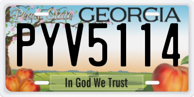 GA license plate PYV5114