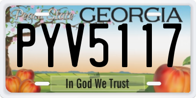 GA license plate PYV5117