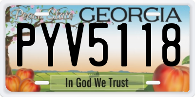 GA license plate PYV5118