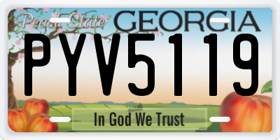 GA license plate PYV5119