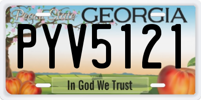 GA license plate PYV5121