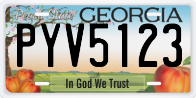 GA license plate PYV5123