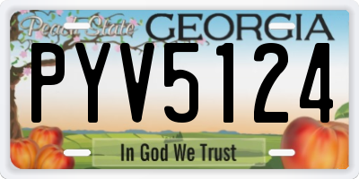 GA license plate PYV5124