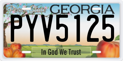 GA license plate PYV5125