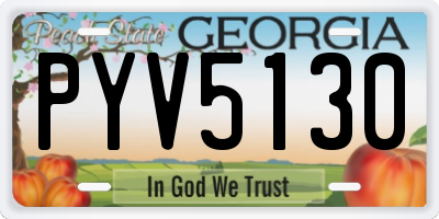 GA license plate PYV5130