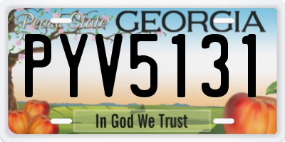 GA license plate PYV5131