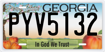 GA license plate PYV5132